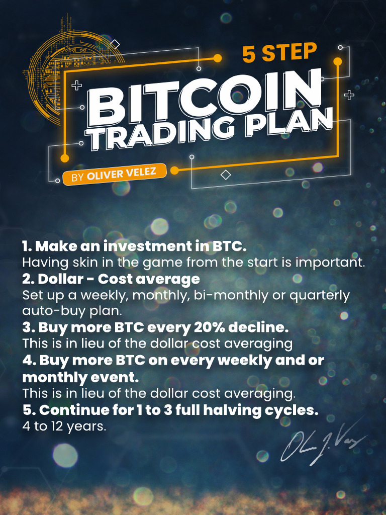 BTC Investment Strategies Explained | PDF