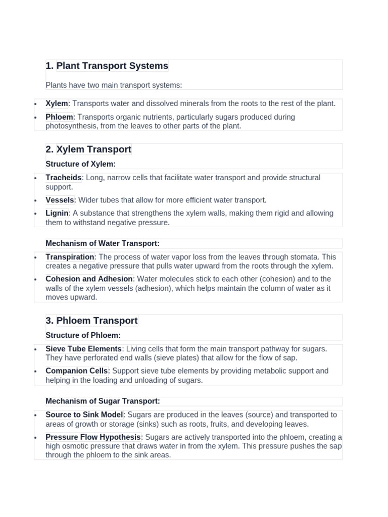 Transport in Plants | PDF | Plant Physiology | Biology