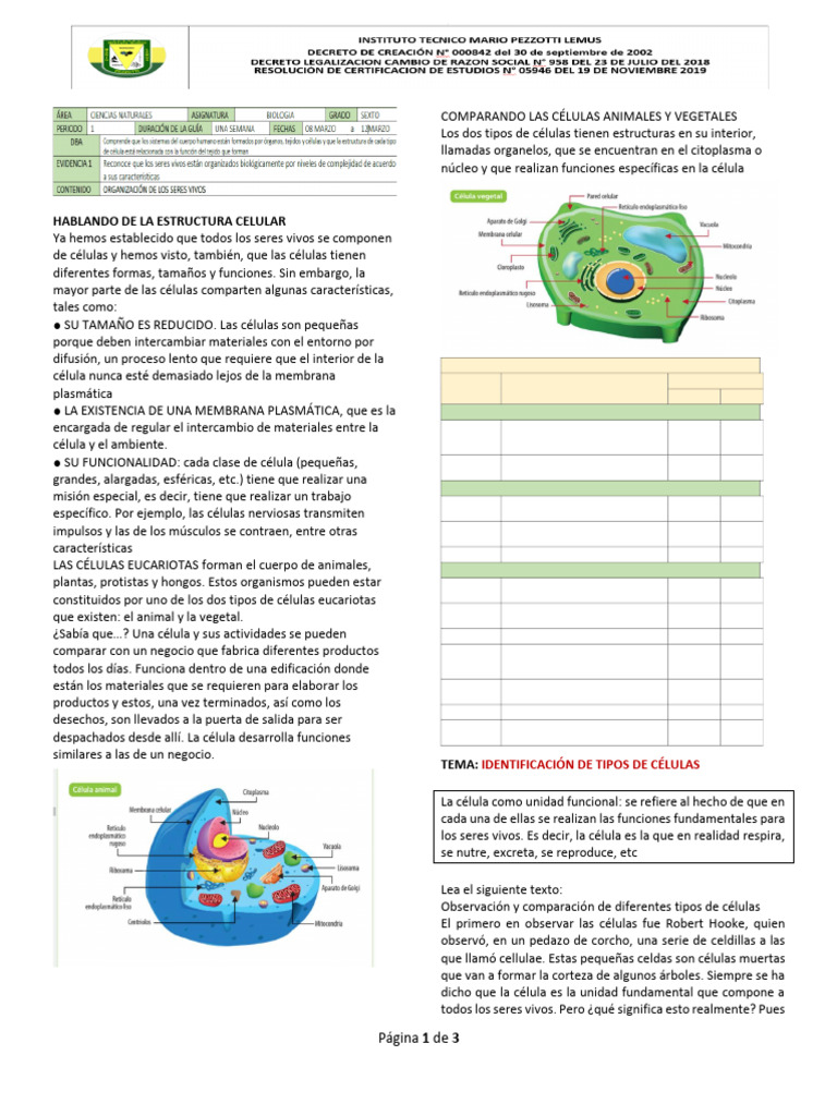 Estructura y Funciones de la Célula | PDF | Biología Celular) | Citoplasma