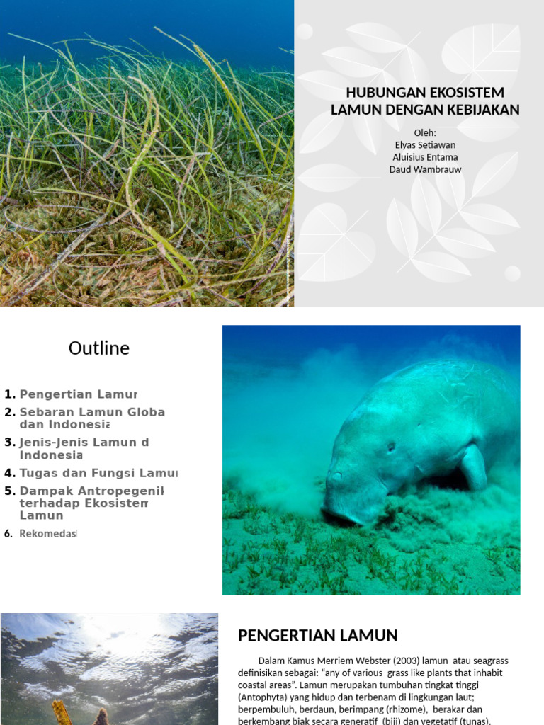 Pentingnya Ekosistem Lamun di Indonesia | PDF