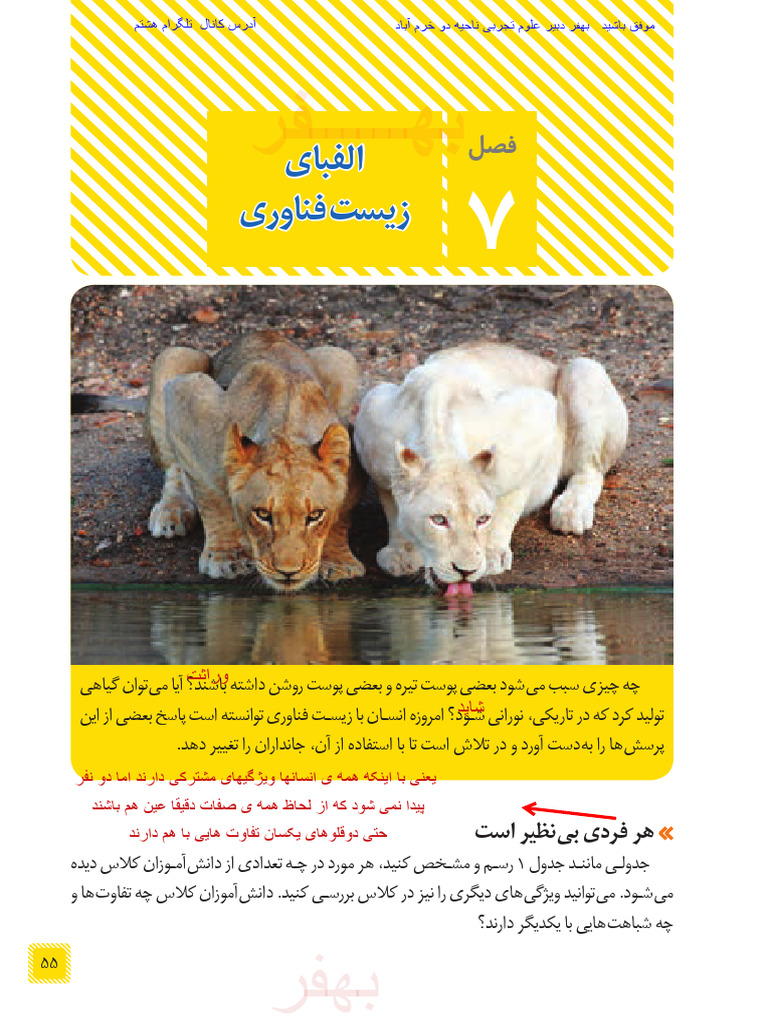 Soalmatn 8 Olum f7 | PDF