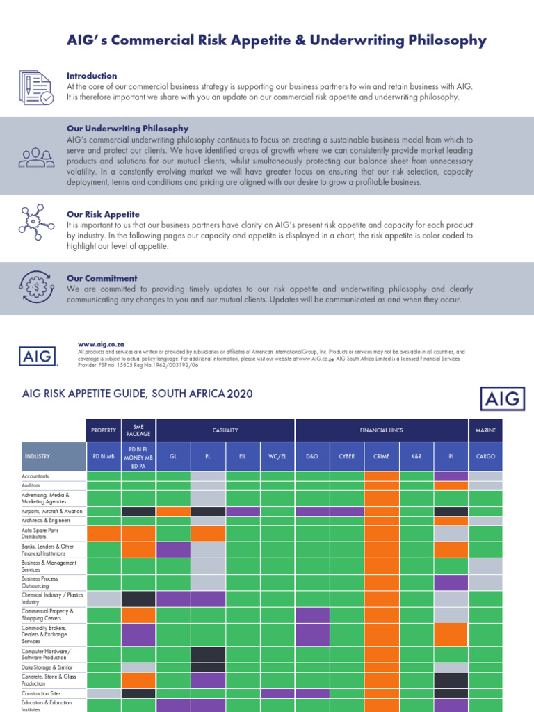 AIG South Africa Risk Appetite Overview | PDF | Underwriting | American ...