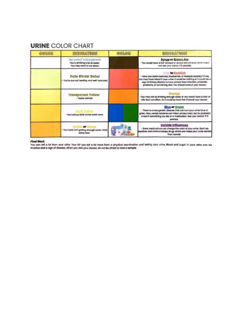 Urine Test Chart | PDF