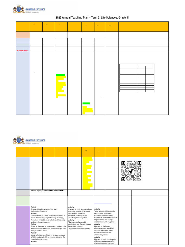 Grade 11 Life Sciences ATP Term 2 2025 | PDF | Cellular Respiration ...