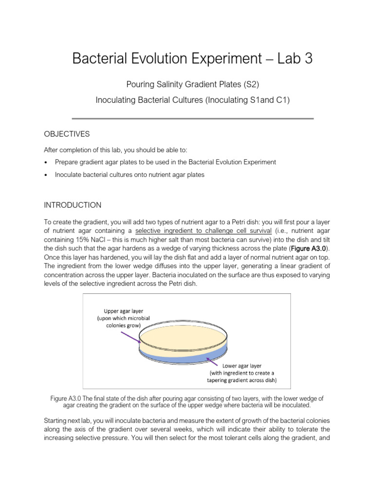 Bacterial Salinity Gradient Experiment | PDF | Agar | Bacteria