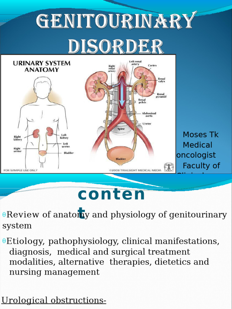 Genoitourinary Disease | PDF | Urology | Urinary System