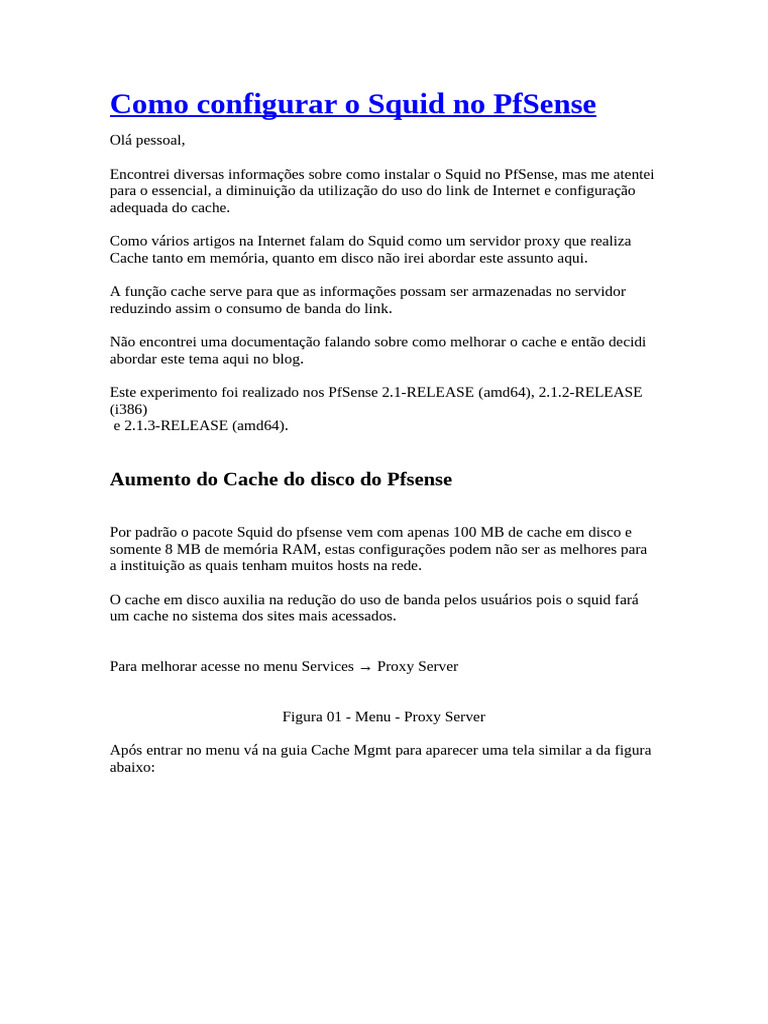 Melhore o Cache do Squid no PfSense | PDF | Cache (informática ...