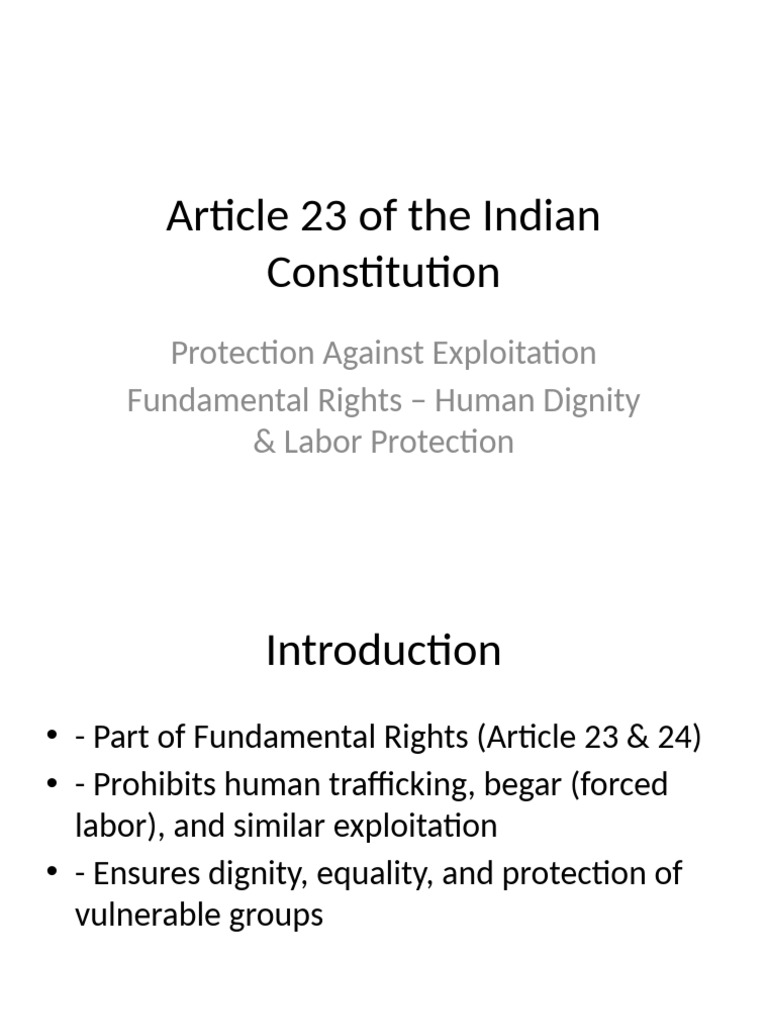 Article 23: Protecting Human Dignity | PDF