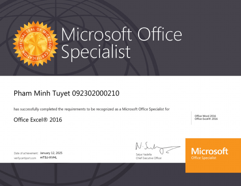 Pham Minh Tuyet Office 2016 Details | PDF