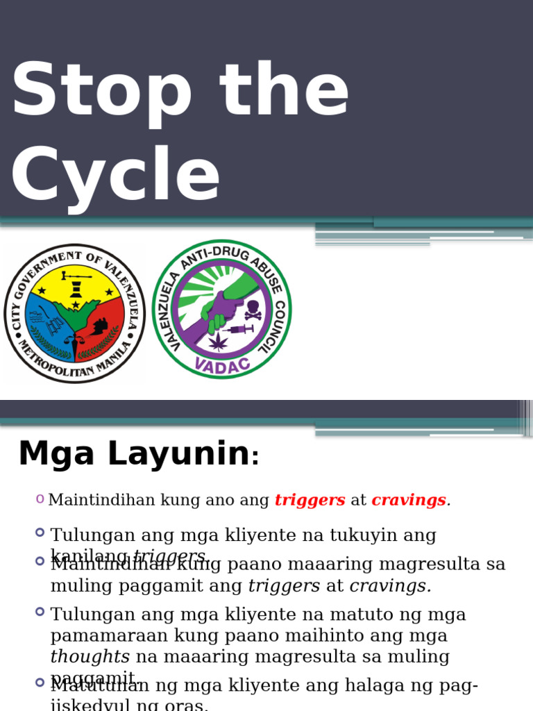 ERS 1 Stop The Cycle | PDF