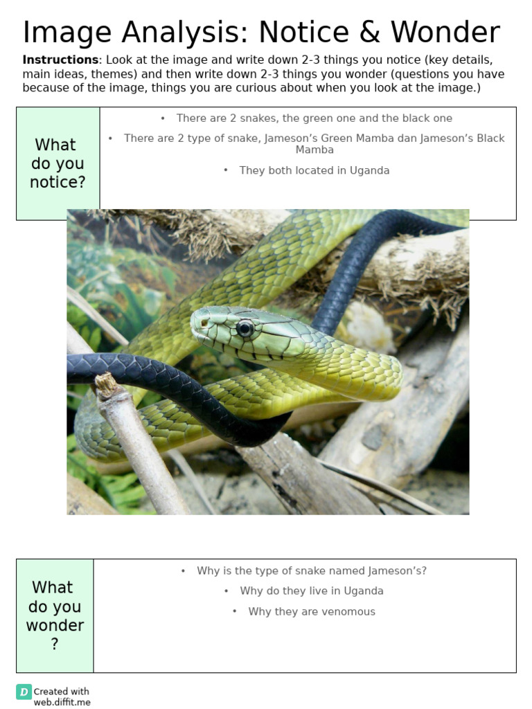 Jameson's Mamba: Venomous Snakes Overview | PDF | Venom