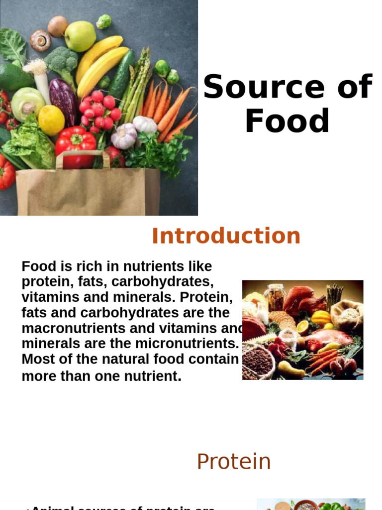 Source of Food | PDF