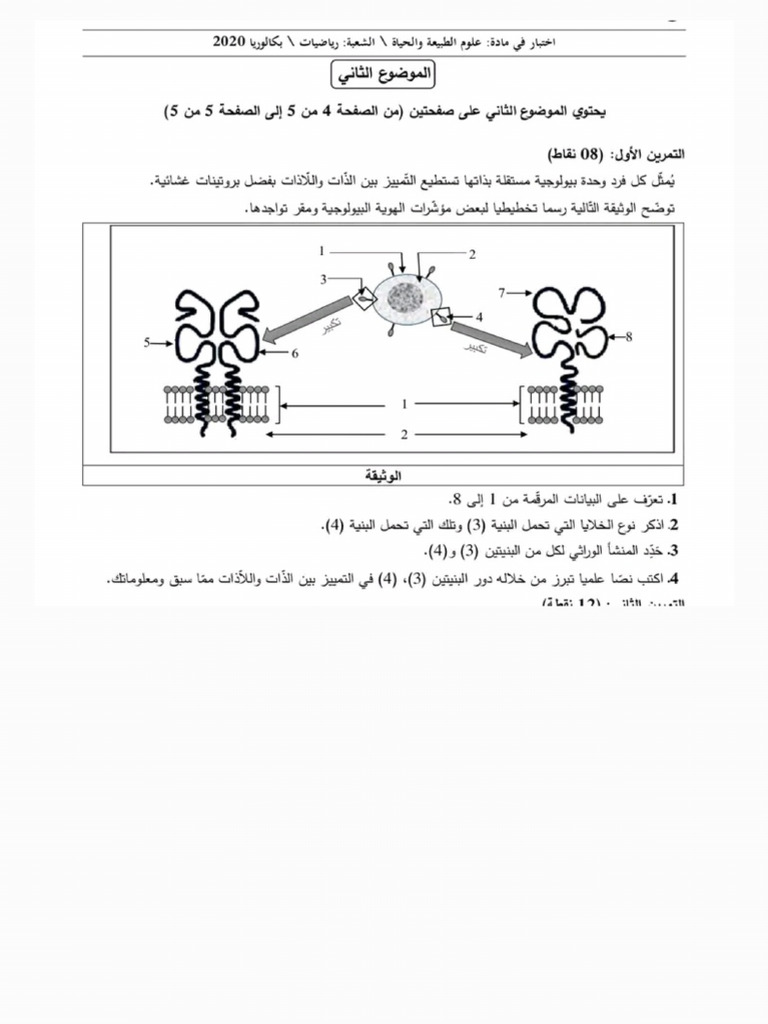 Notes 250412 121808 | PDF