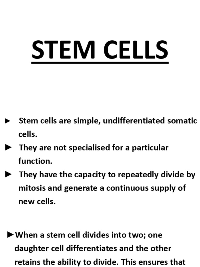 Understanding Stem Cells and Their Types | PDF | Stem Cell | Cell Potency