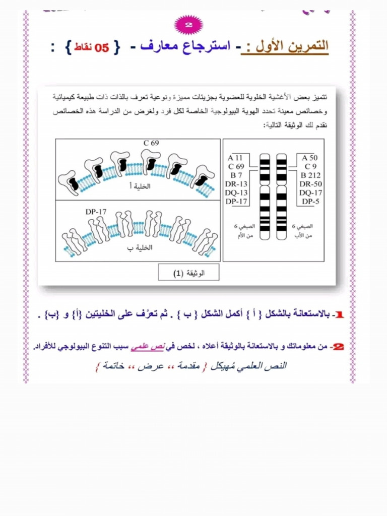 Notes 250412 121808 | PDF