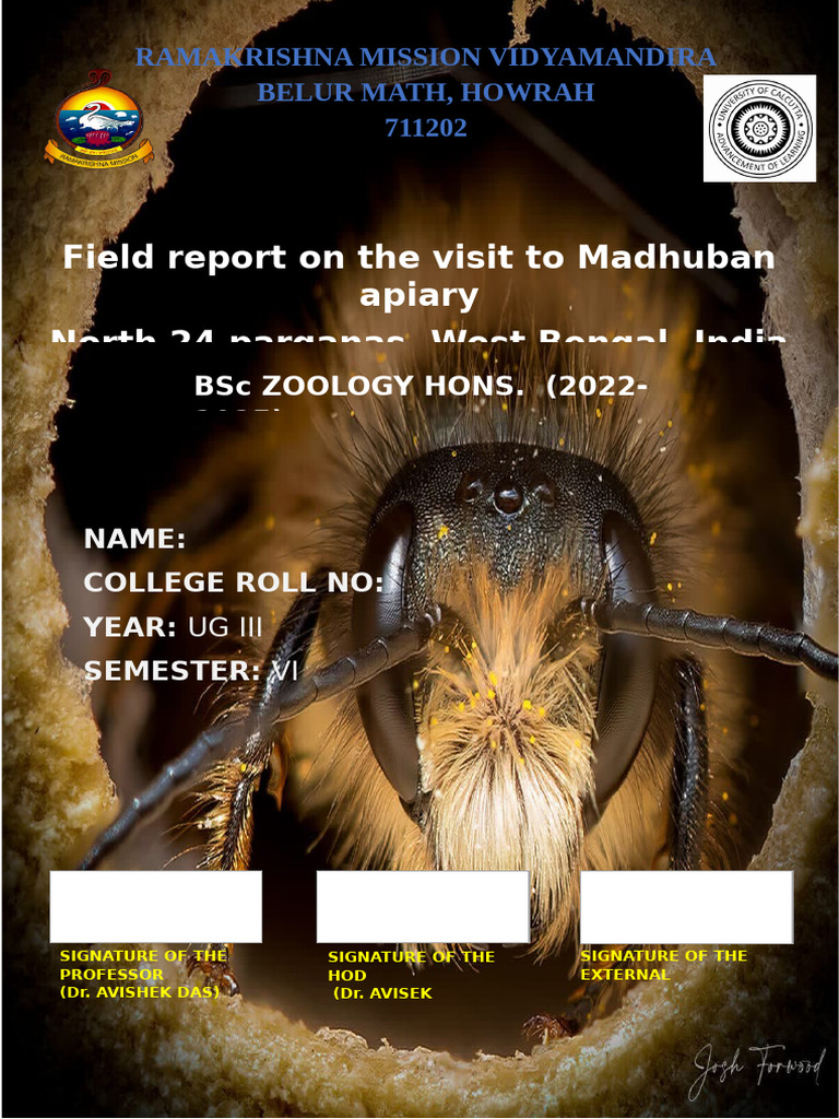 Apiary Front | PDF