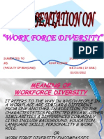 Work Force Diversity