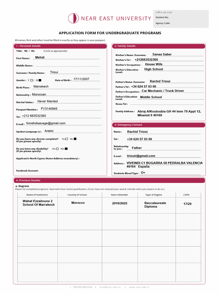 Undergraduate Application Form 19.02.2025 | PDF