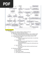 VOMS Concussion Screening Guide | PDF | Vestibular System | Vision