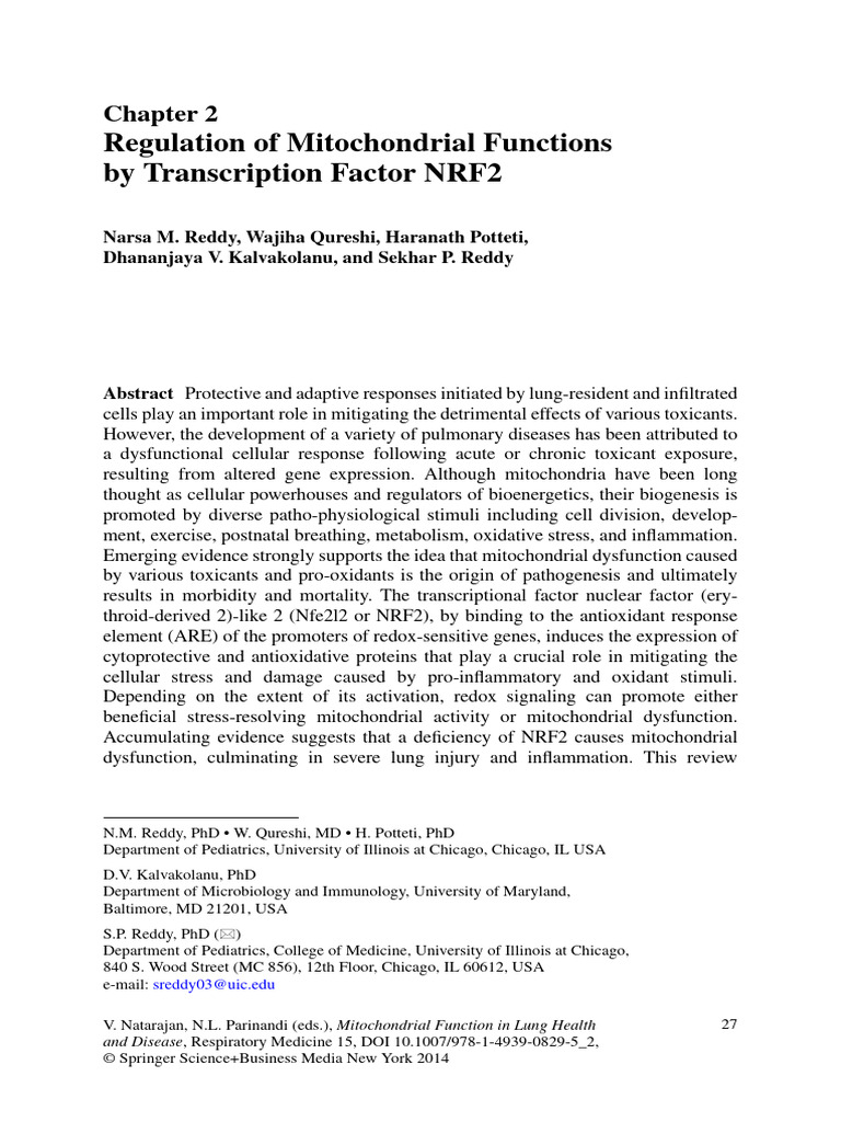 NRF2's Role in Mitochondrial Function | PDF | Autophagy | Mitochondrion