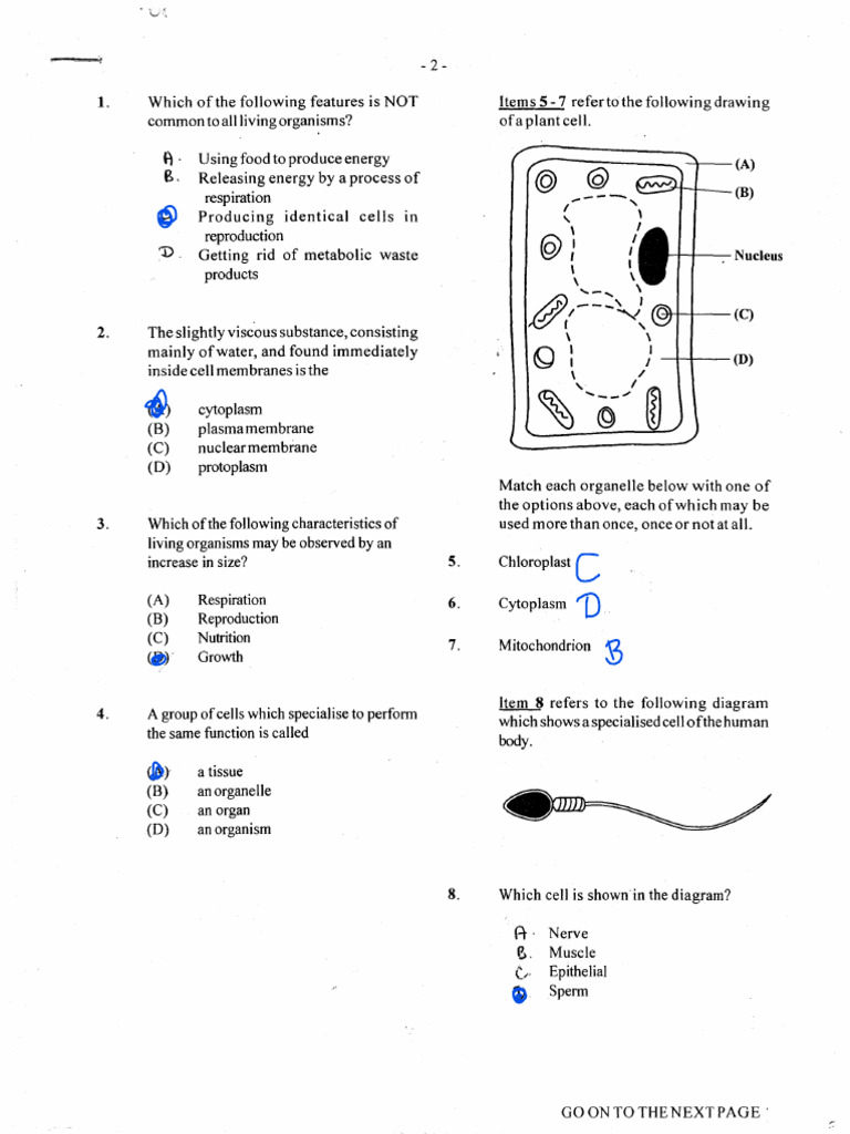 CSEC HSB 2008 P1 Solutions | PDF