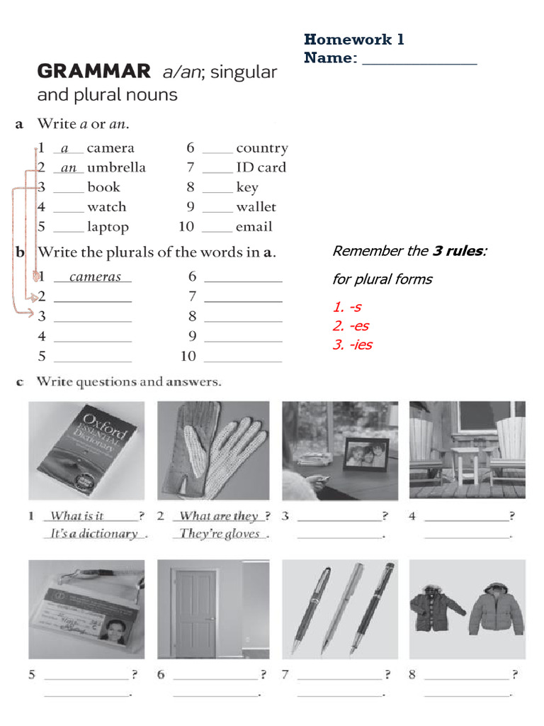 Plural Form Rules for Homework | PDF