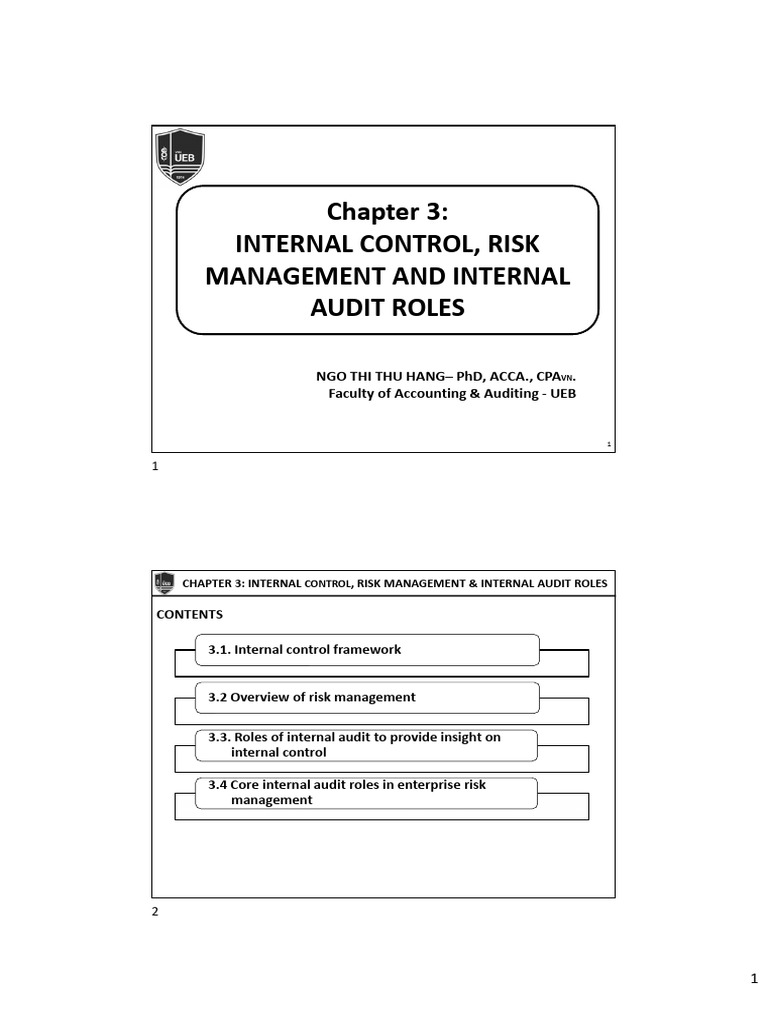 Internal Control and Risk Management Roles | PDF | Internal Control | Risk