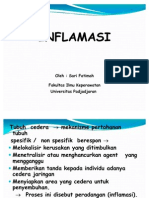 inflamasi