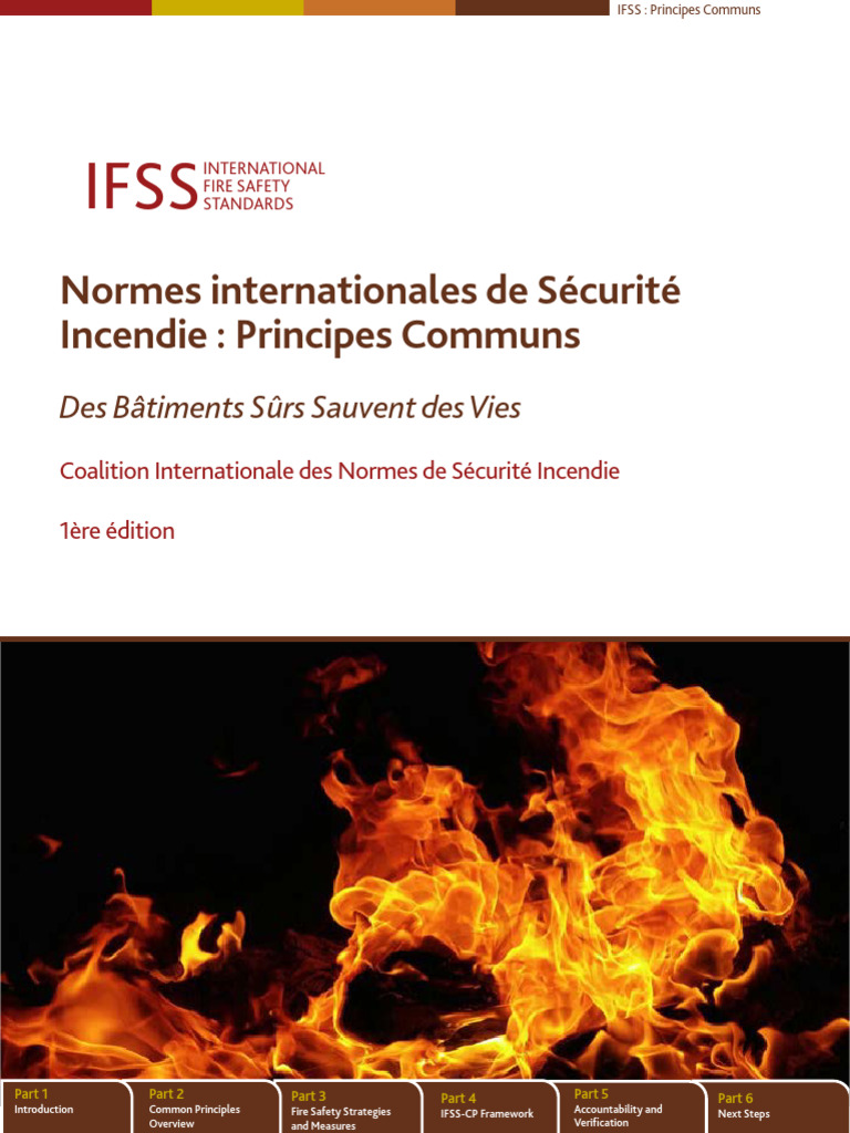 Normes IFSS : Principes Communs | PDF | Sécurité | Développement durable