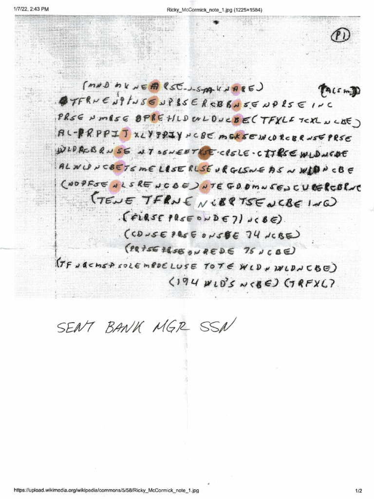 Ricky McCormick's Encrypted Notes - Decrypted | PDF