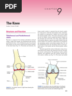Biomechanics of Knee Joint | PDF | Knee | Human Leg