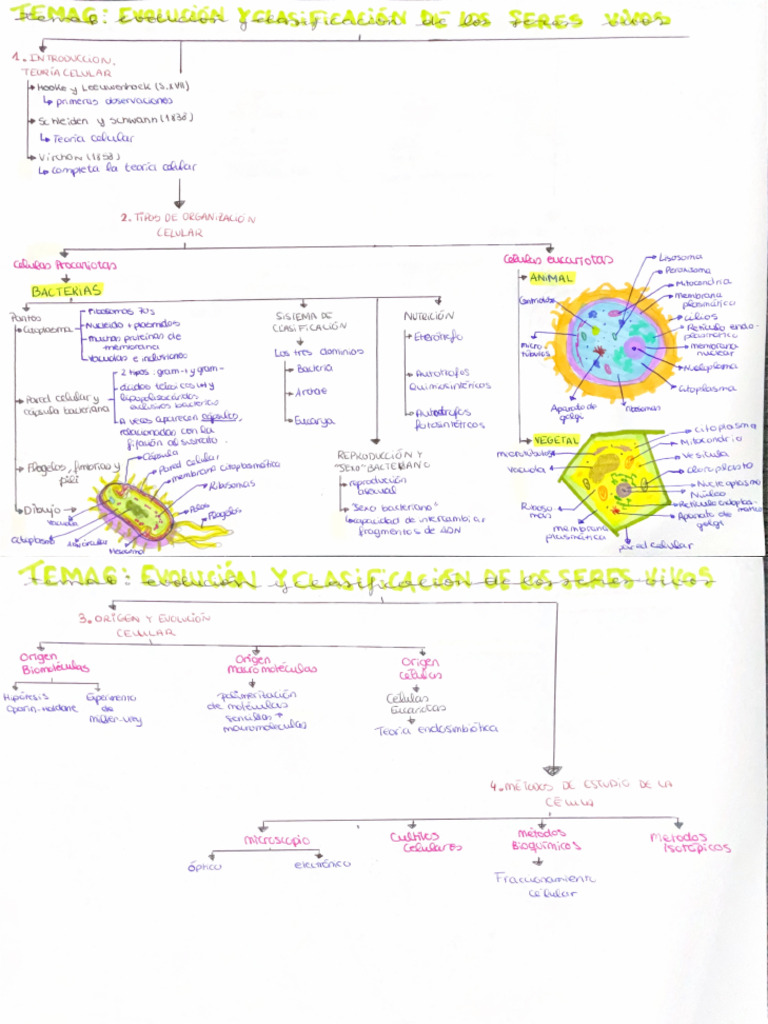 Esquema Tema 6 | PDF