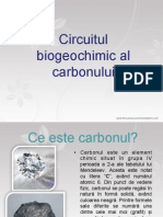 Circuitul Biogeochimic Al Carbonului