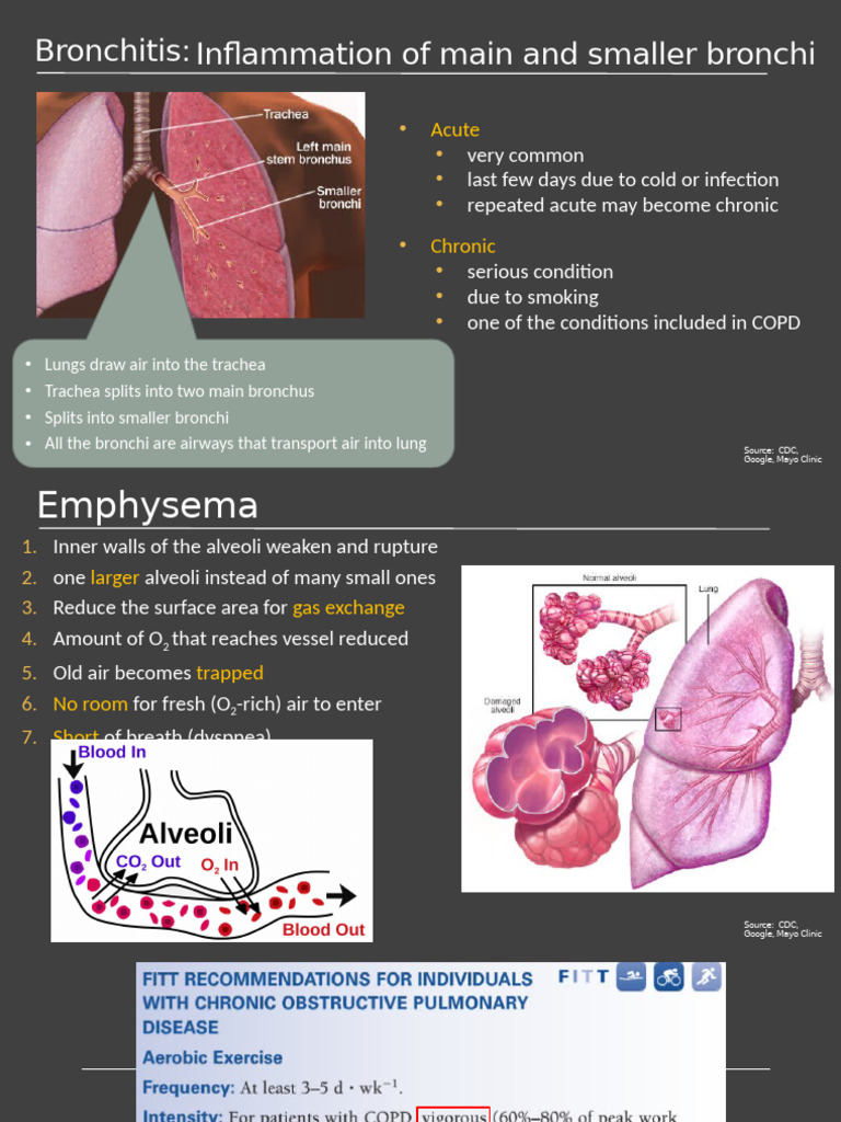Lecture+15.+Tobacco Asthma | PDF | Asthma | Clinical Medicine