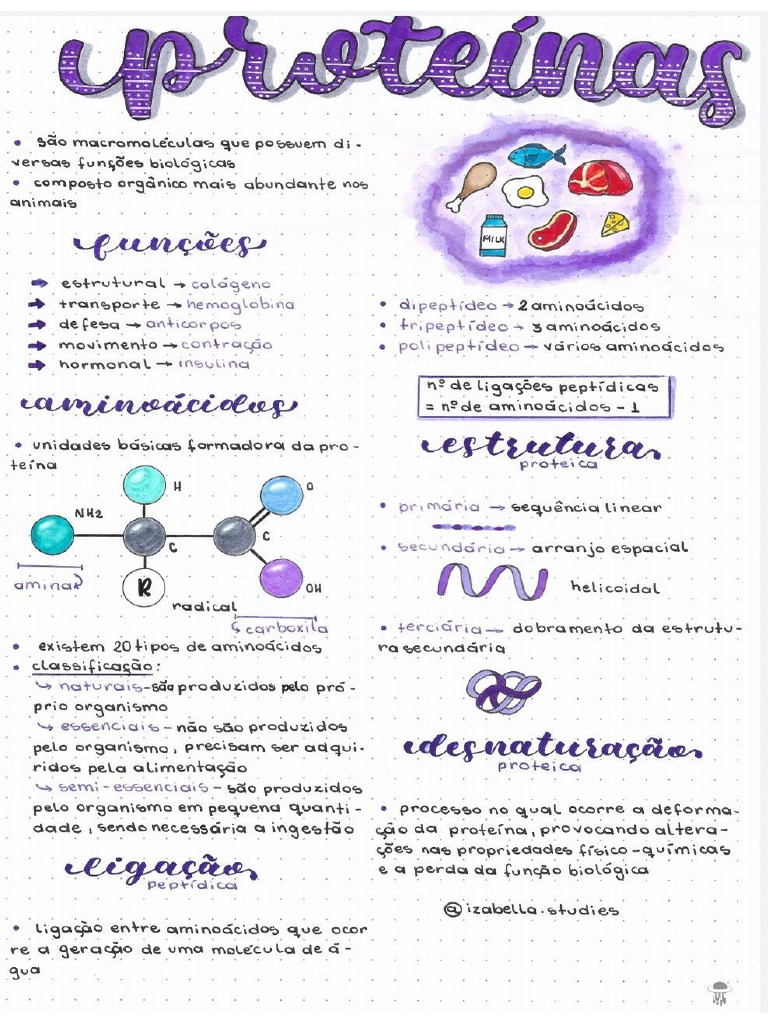 Resumo Proteínas | PDF