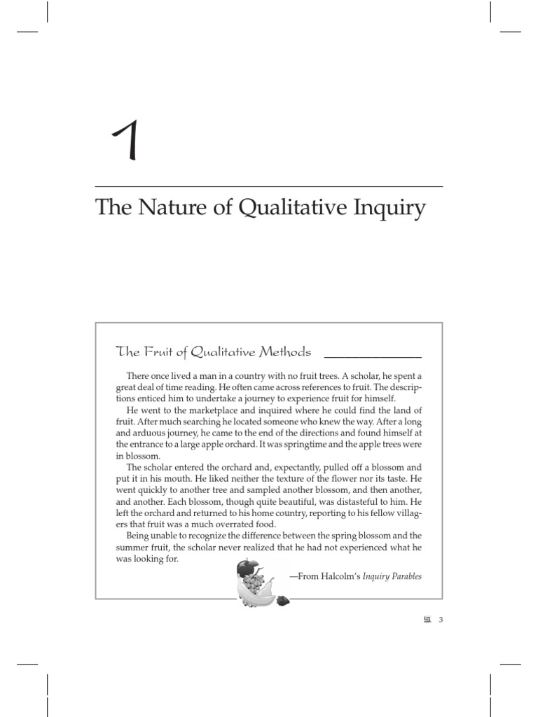 Patton Chapter 1 Pdf Qualitative Research Field Research
