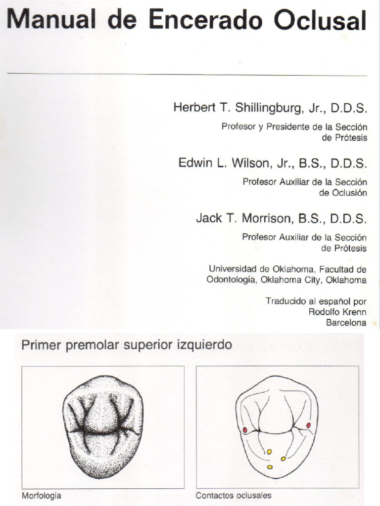 Caras Oclusales | PDF