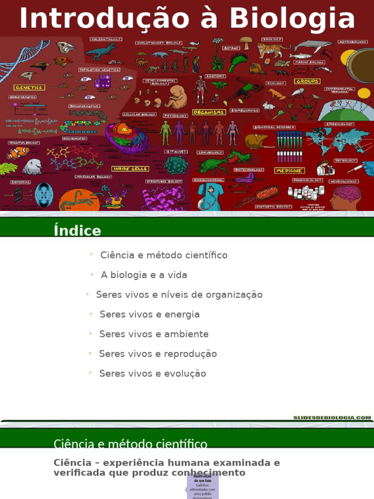 Introdução À Biologia | PDF | Vida | Organismos