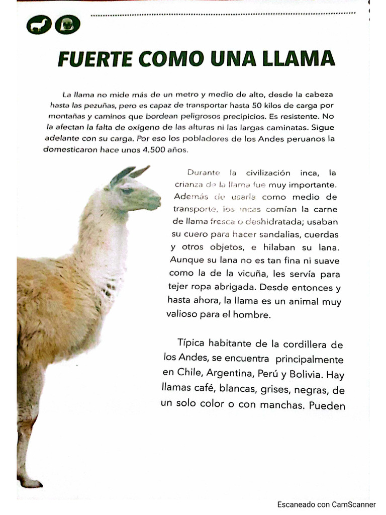 Fuerte Como Una Llama | PDF