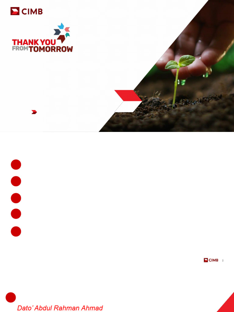 CIMB Sustainability Strategy 2021 | PDF | Sustainability | Governance