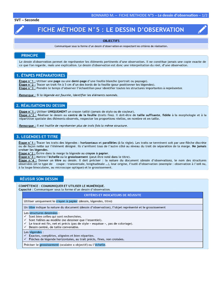 Dessin d'observation en SVT Seconde | PDF