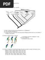 Lista de Exercícios - Taxonomia