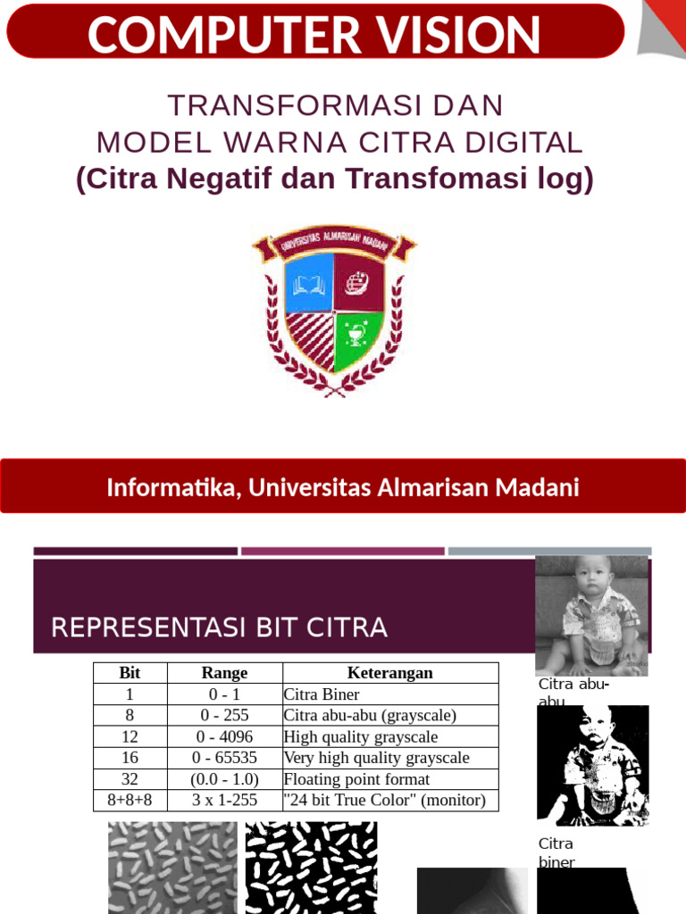Transformasi Negatif dan Log Citra Digital | PDF