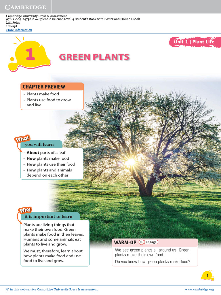 Green Plants and Photosynthesis | PDF | Leaf | Photosynthesis