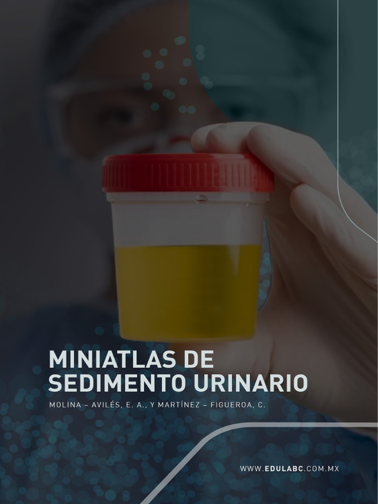 Miniatlas de Sedimento Urinario 2024 | PDF | Leucocito | Glóbulo rojo