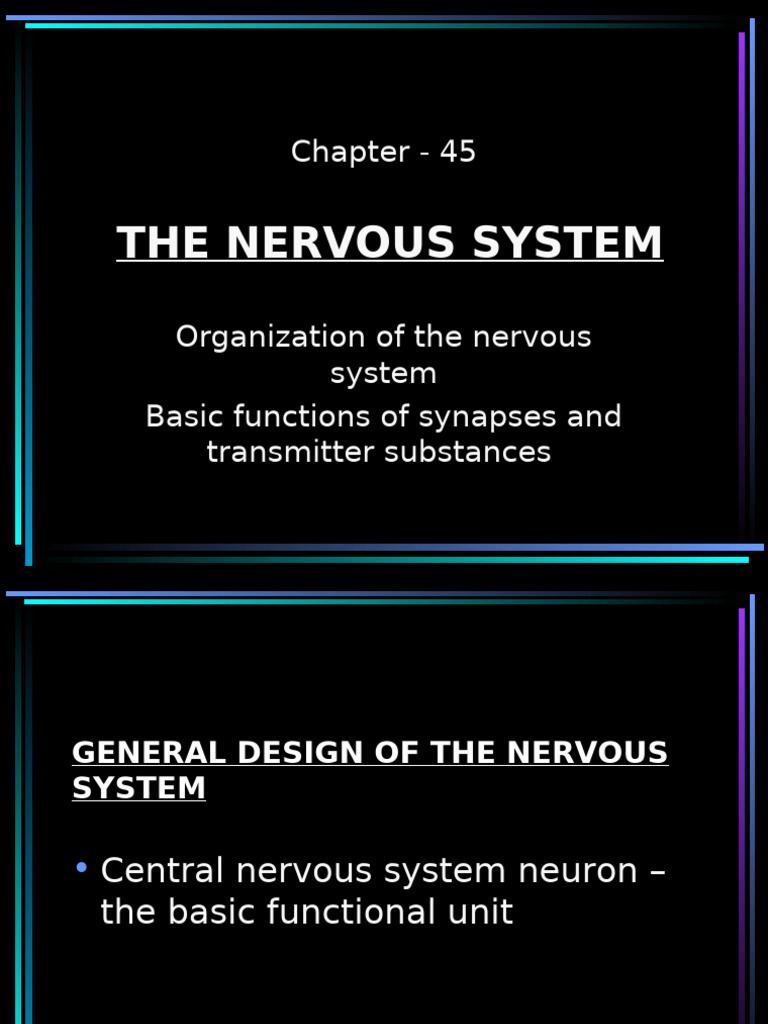 Nervous System Structure and Function | PDF | Chemical Synapse | Synapse
