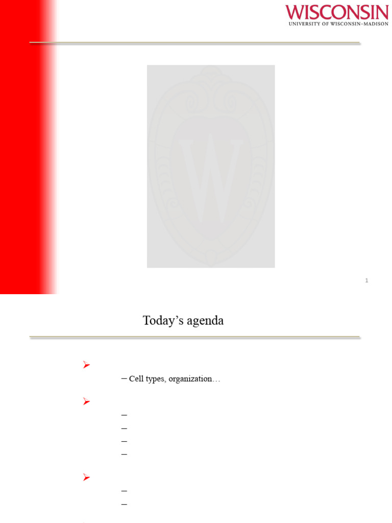 Lecture 15 Smell In Pdf Format 2 Pdf Stimulus Physiology