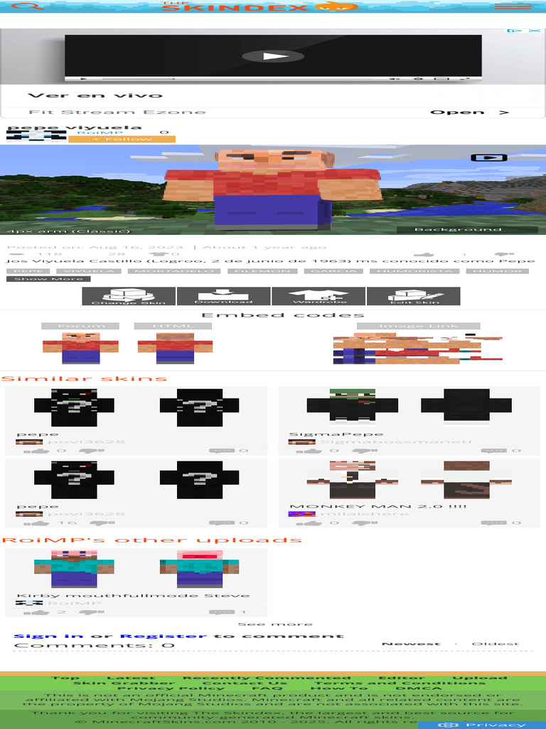 Pepe Viyuela Minecraft Skin | PDF