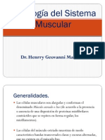 3 Sistema Muscular