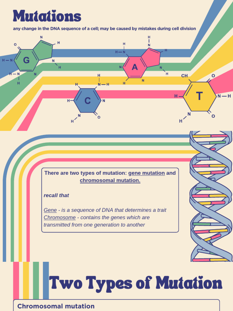 Understanding DNA Mutations and Effects | PDF | Mutation | Gene
